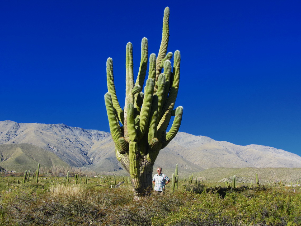 Landscape between Tafi del Valle and Cafayate